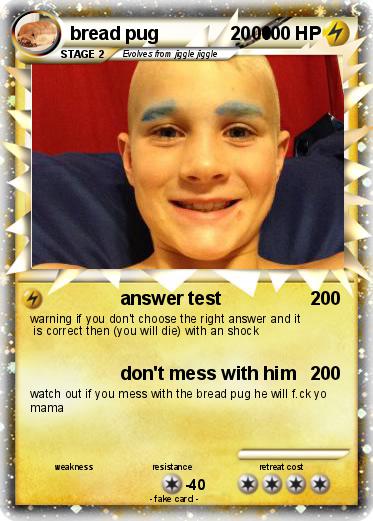 Pokemon bread pug              2000