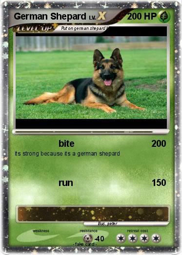 Pokemon German Shepard