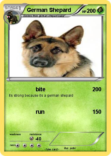 Pokemon German Shepard