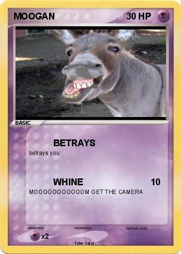 Pokemon MOOGAN