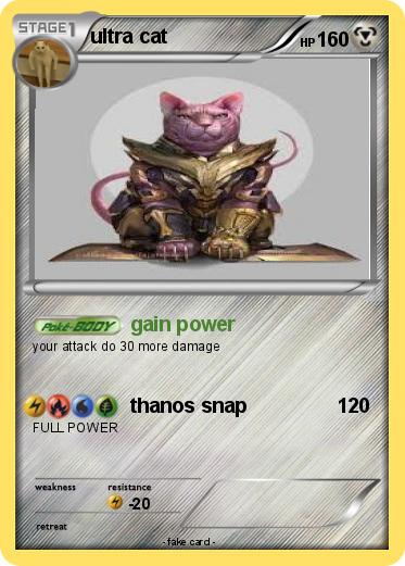 Pokemon ultra cat
