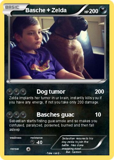 Pokemon Basche + Zelda