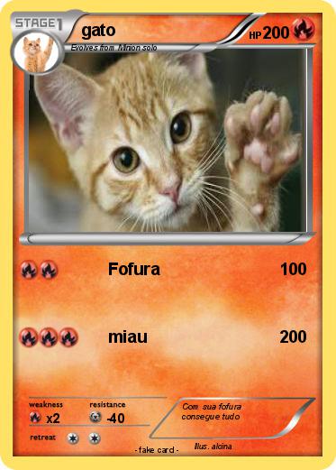 Pokemon gato