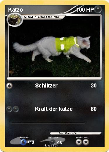 Pokemon Katzo
