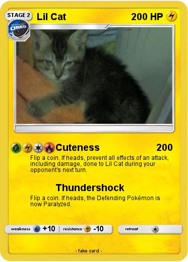 Pokemon Lil Cat
