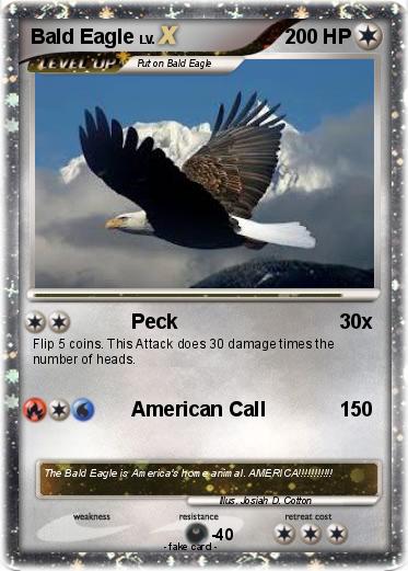 Pokemon Bald Eagle