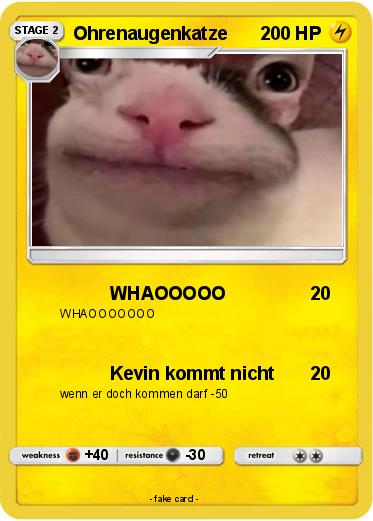 Pokemon Ohrenaugenkatze