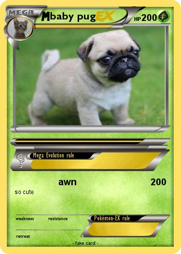 Pokemon baby pug