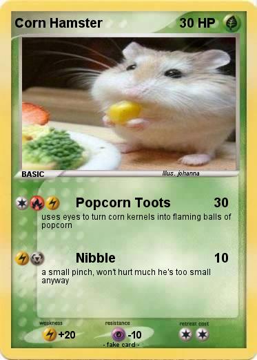 Pokemon Corn Hamster