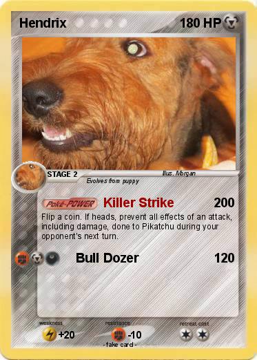 Pokemon Hendrix