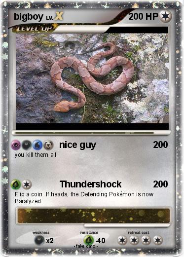 Pokemon bigboy
