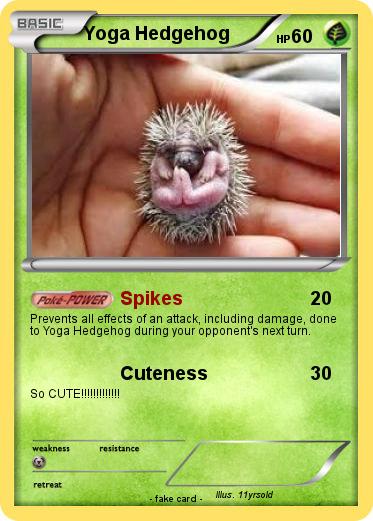 Pokemon Yoga Hedgehog