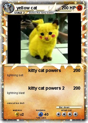 Pokemon yellow cat