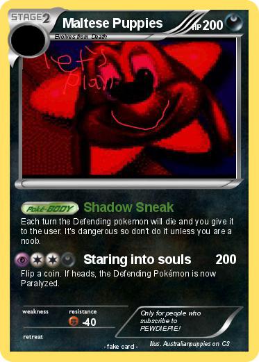 Pokemon Maltese Puppies