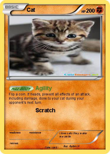 Pokemon Cat