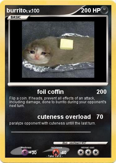Pokemon burrito