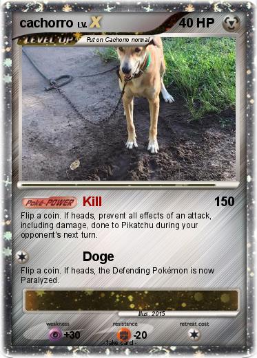 Pokemon cachorro