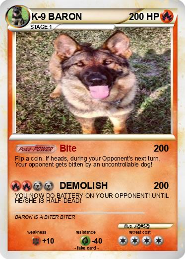 Pokemon K-9 BARON