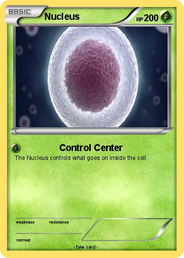 Pokemon Nucleus