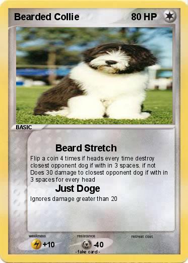Pokemon Bearded Collie