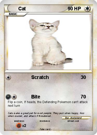 Pokemon Cat
