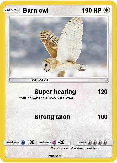 Pokemon Barn owl