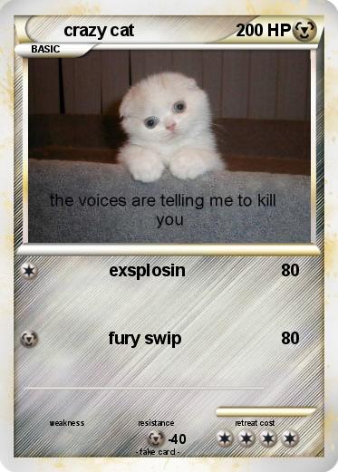 Pokemon crazy cat