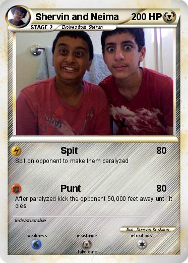 Pokemon Shervin and Neima