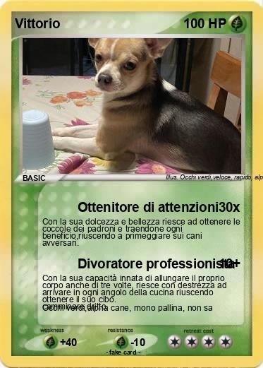 Pokemon Vittorio