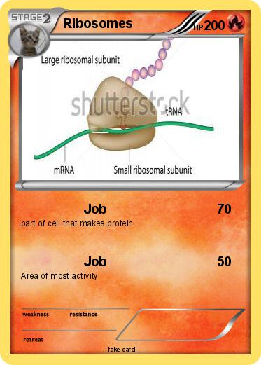 Pokemon Ribosomes