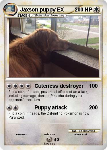 Pokemon Jaxson puppy EX