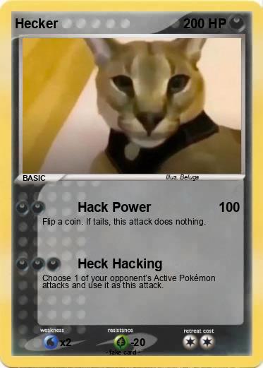 Pokemon Hecker