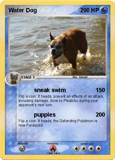 Pokemon Water Dog