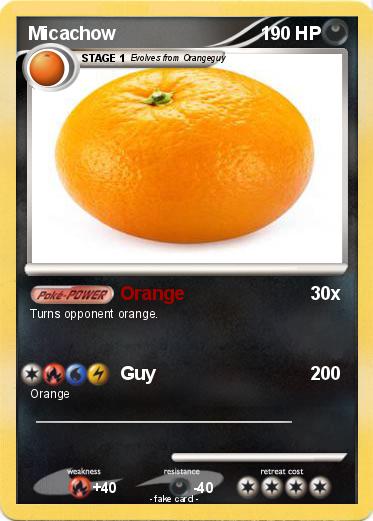Pokemon Micachow