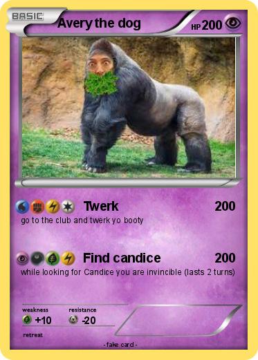 Pokemon Avery the dog