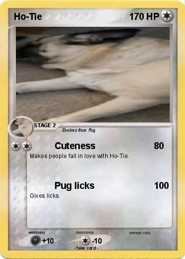 Pokemon Ho-Tie