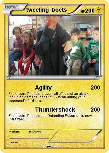 Pokemon tweeling  boets