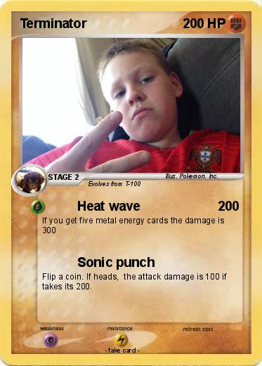 Pokemon Terminator