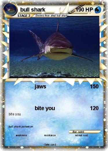 Pokemon bull shark