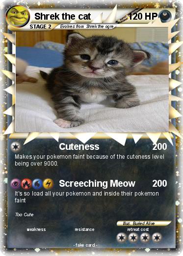 Pokemon Shrek the cat