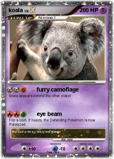 Pokemon koala