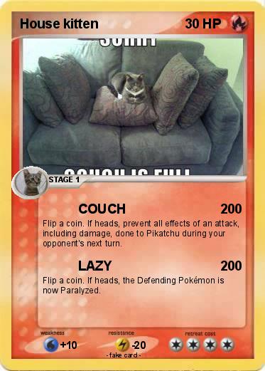 Pokemon House kitten