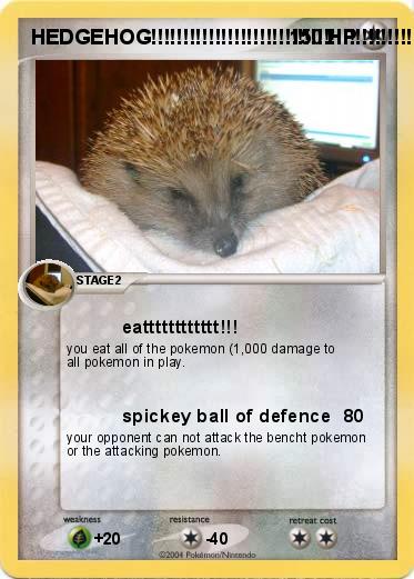 Pokemon HEDGEHOG!!!!