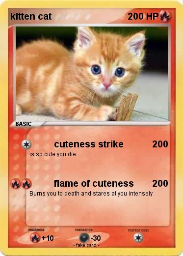 Pokemon kitten cat