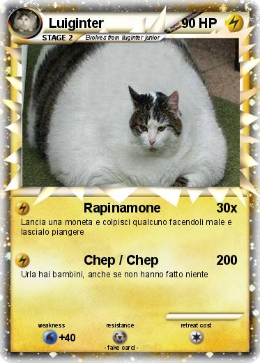 Pokemon Luiginter