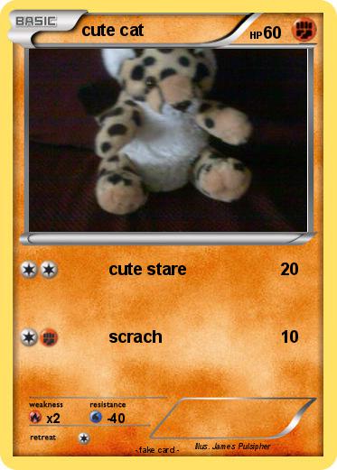 Pokemon cute cat