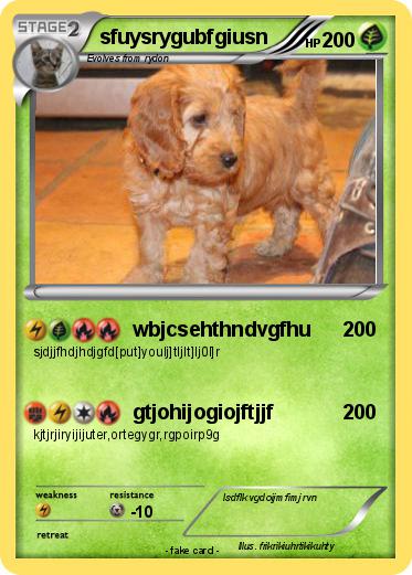 Pokemon sfuysrygubfgiusn