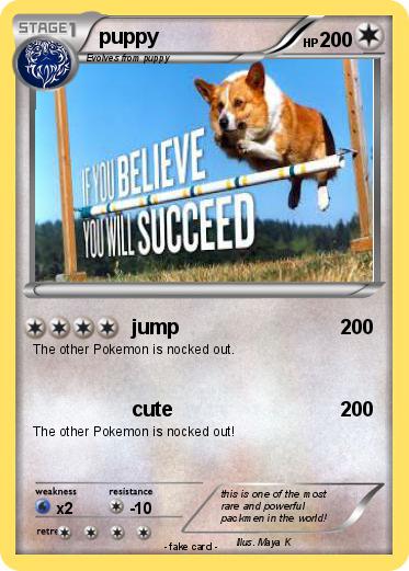 Pokemon puppy
