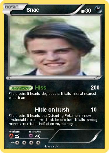 Pokemon Snac