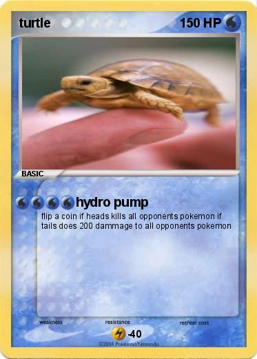 Pokemon turtle